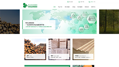 青島網(wǎng)絡(luò)營(yíng)銷